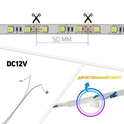 Світлодіодна стрічка BIOM Professional BPS-G3-12-5050-60-CW-20 білий, негерметична, 1м 2202 фото