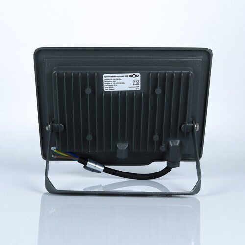 Світлодіодний прожектор BIOM 30W S5-SMD-30-Slim 6200К 220V IP65 1937 фото