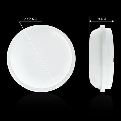 Світильник світлодіодний ЖКХ Biom SMPL-R20-6 20Вт 6000К, коло, sensor 2556 фото