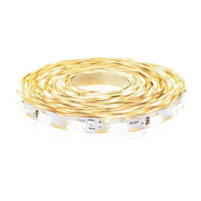 Світлодиодна стрічка BIOM Professional BPS-G3-12-S-2835-60-CW-20 білий (S-type), негерметична, 1м 2645 фото