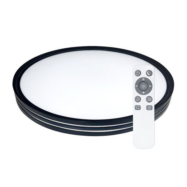 Светильник светодиодный Biom SMART SML-R41-80/2 3000-6000K 80Вт с д/у 2899 фото